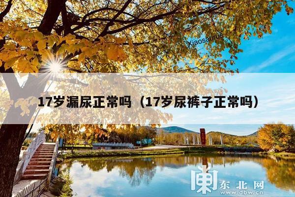 17岁漏尿正常吗(17岁尿裤子正常吗)