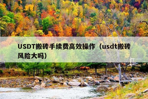 USDT搬砖手续费高效操作（usdt搬砖风险大吗）