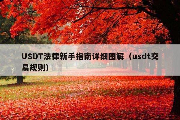 USDT法律新手指南详细图解(usdt交易规则)