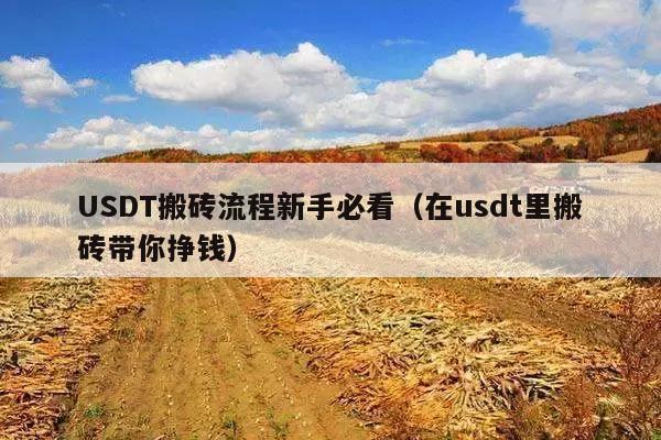 USDT搬砖流程新手必看(在usdt里搬砖带你挣钱)