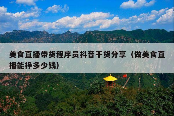 美食直播带货程序员抖音干货分享(做美食直播能挣多少钱)