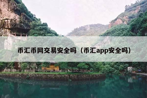 币汇币网交易安全吗(币汇app安全吗)