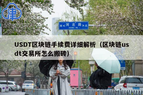 USDT区块链手续费详细解析(区块链usdt交易所怎么搬砖)