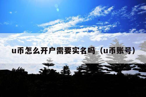 u币怎么开户需要实名吗(u币账号)