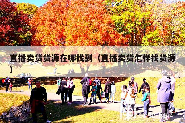 直播卖货货源在哪找到(直播卖货怎样找货源)
