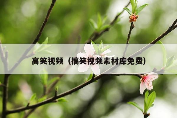 高笑视频(搞笑视频素材库免费)
