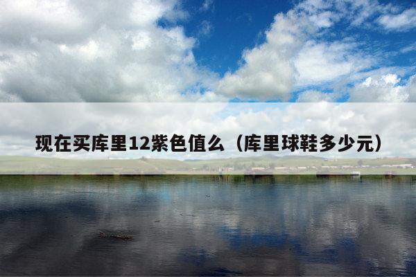 现在买库里12紫色值么(库里球鞋多少元)