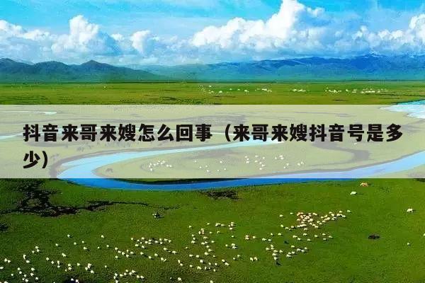 抖音来哥来嫂怎么回事(来哥来嫂抖音号是多少)