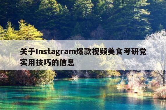 关于Instagram爆款视频美食考研党实用技巧的信息