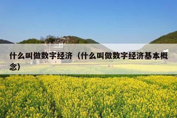 什么叫做数字经济(什么叫做数字经济基本概念)