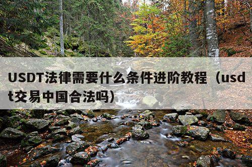 USDT法律需要什么条件进阶教程(usdt交易中国合法吗)