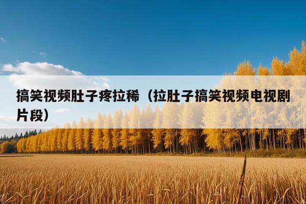 搞笑视频肚子疼拉稀(拉肚子搞笑视频电视剧片段)