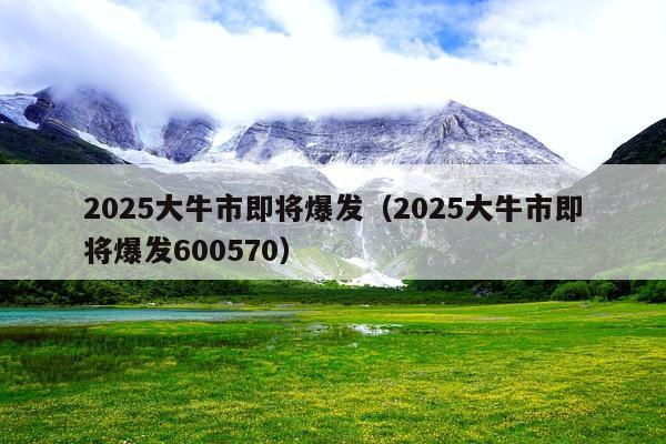 2025大牛市即将爆发(2025大牛市即将爆发600570)