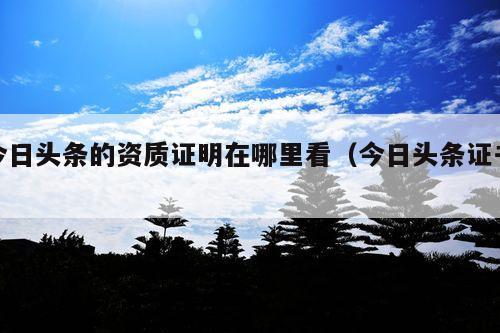 今日头条的资质证明在哪里看(今日头条证书)