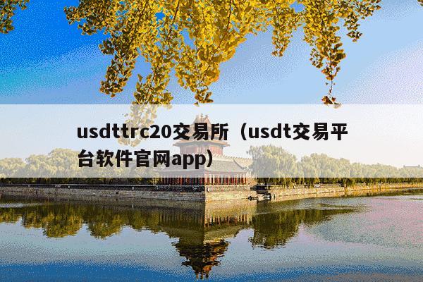 usdttrc20交易所(usdt交易平台软件官网app)