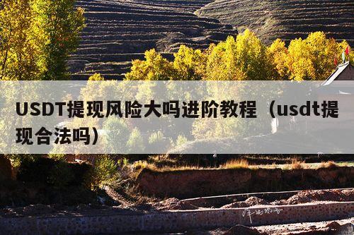 USDT提现风险大吗进阶教程(usdt提现合法吗)