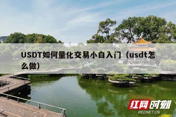 USDT如何量化交易小白入门(usdt怎么做)