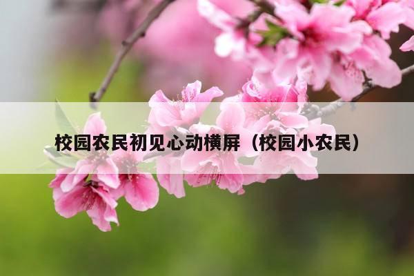校园农民初见心动横屏(校园小农民)