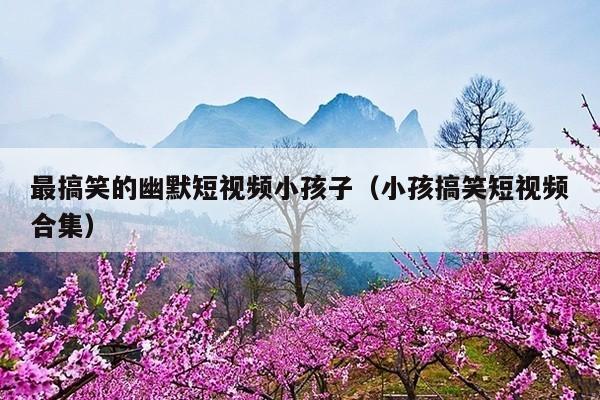 最搞笑的幽默短视频小孩子(小孩搞笑短视频合集)