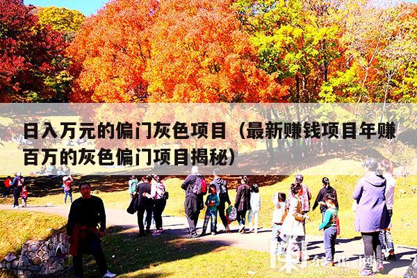 日入万元的偏门灰色项目(最新赚钱项目年赚百万的灰色偏门项目揭秘)