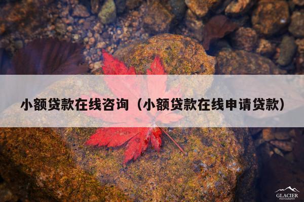小额贷款在线咨询(小额贷款在线申请贷款)