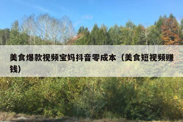 美食爆款视频宝妈抖音零成本(美食短视频赚钱)