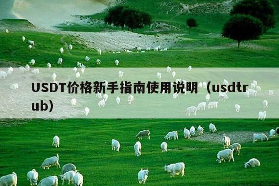 USDT价格新手指南使用说明(usdtrub)
