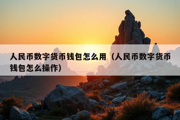 人民币数字货币钱包怎么用(人民币数字货币钱包怎么操作)