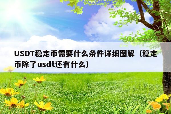 USDT稳定币需要什么条件详细图解(稳定币除了usdt还有什么)