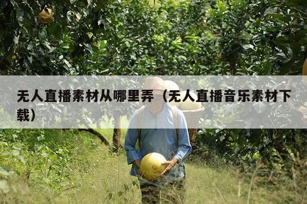 无人直播素材从哪里弄(无人直播音乐素材下载)