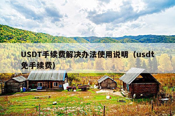 USDT手续费解决办法使用说明(usdt免手续费)