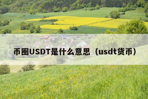 币圈USDT是什么意思(usdt货币)