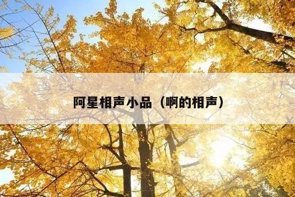 阿星相声小品(啊的相声)