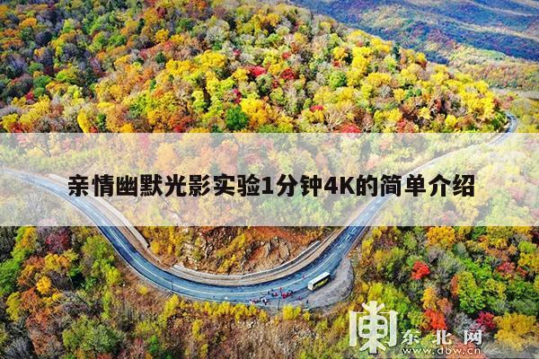 亲情幽默光影实验1分钟4K的简单介绍