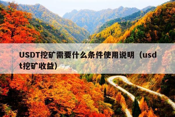 USDT挖矿需要什么条件使用说明(usdt挖矿收益)