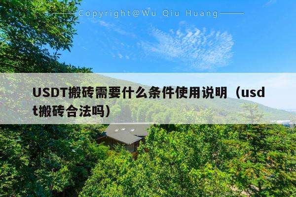 USDT搬砖需要什么条件使用说明(usdt搬砖合法吗)