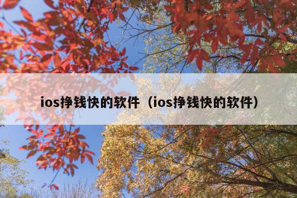 ios挣钱快的软件(ios挣钱快的软件)