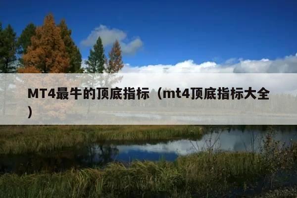 MT4最牛的顶底指标(mt4顶底指标大全)