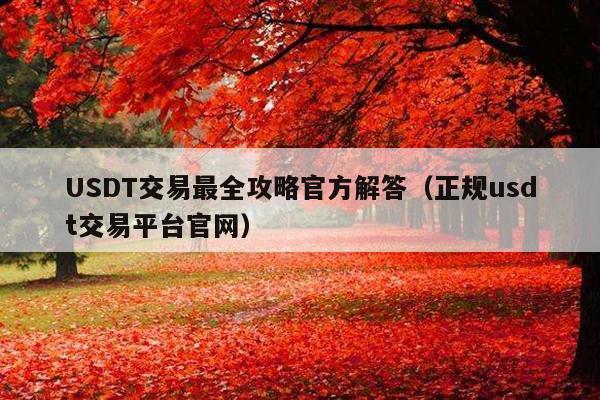 USDT交易最全攻略官方解答(正规usdt交易平台官网)