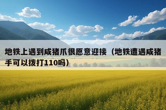地铁上遇到咸猪爪很愿意迎接(地铁遭遇咸猪手可以拨打110吗)