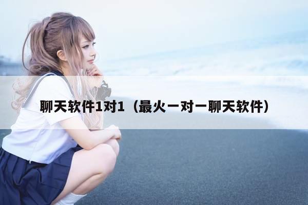 聊天软件1对1(最火一对一聊天软件)