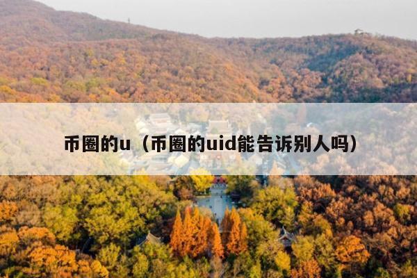 币圈的u(币圈的uid能告诉别人吗)