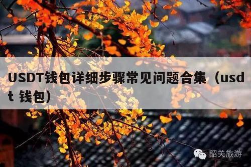 USDT钱包详细步骤常见问题合集(usdt 钱包)