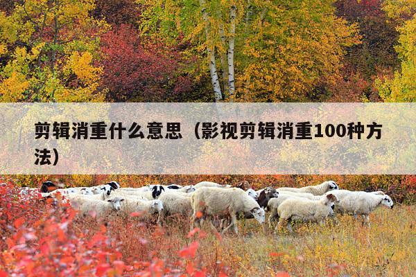 剪辑消重什么意思(影视剪辑消重100种方法)