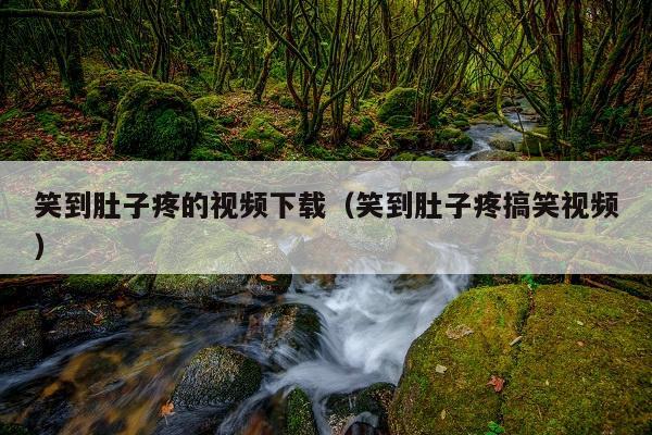 笑到肚子疼的视频下载(笑到肚子疼搞笑视频)