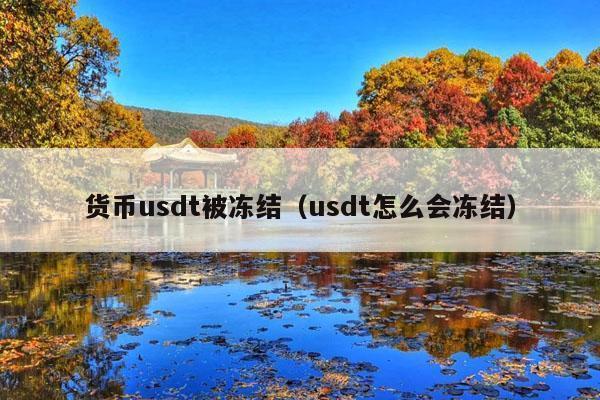 货币usdt被冻结(usdt怎么会冻结)