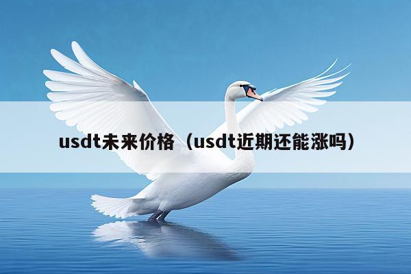usdt未来价格(usdt近期还能涨吗)