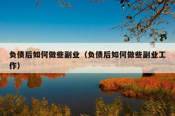 负债后如何做些副业(负债后如何做些副业工作)