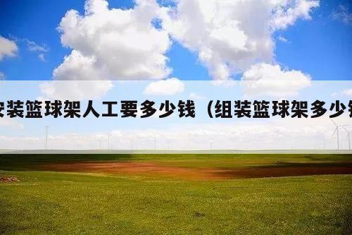 安装篮球架人工要多少钱(组装篮球架多少钱)