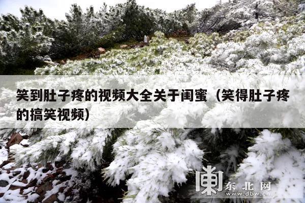 笑到肚子疼的视频大全关于闺蜜(笑得肚子疼的搞笑视频)